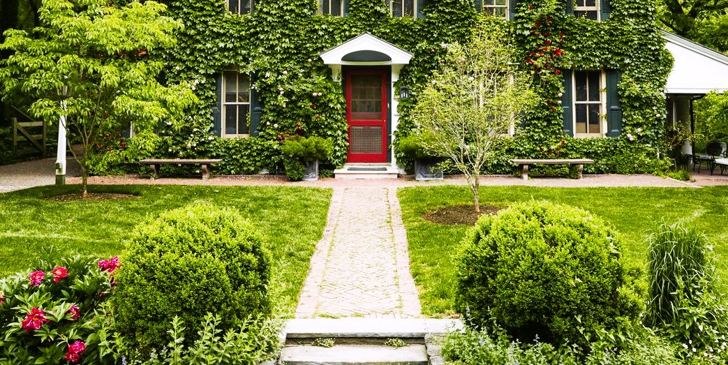 House in green