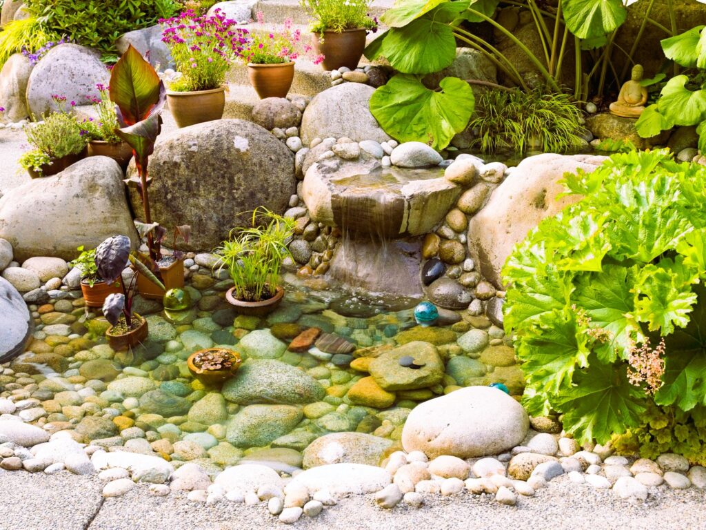 rock fountain plants