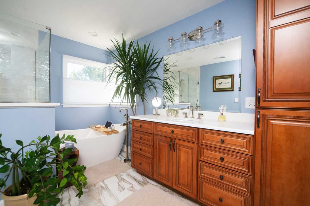 Master Bathroom Remodel